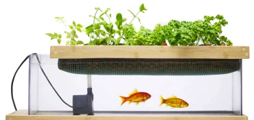 Tout sur le Potarium de mon eco-potager