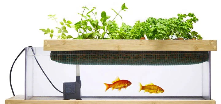Tout sur le Potarium de mon eco-potager